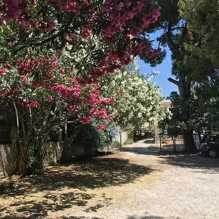 Διαμέρισμα Sxinias